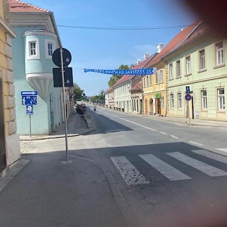 Zlatica Petrovaradin Bagian luar foto