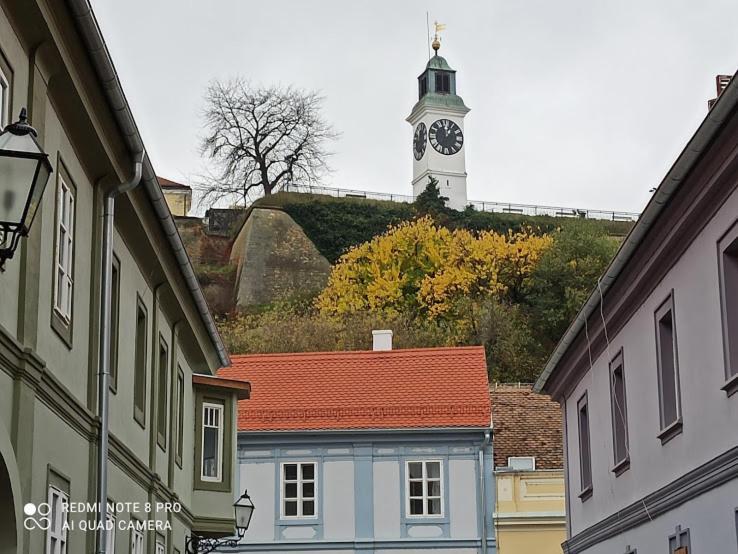 Zlatica Petrovaradin Bagian luar foto